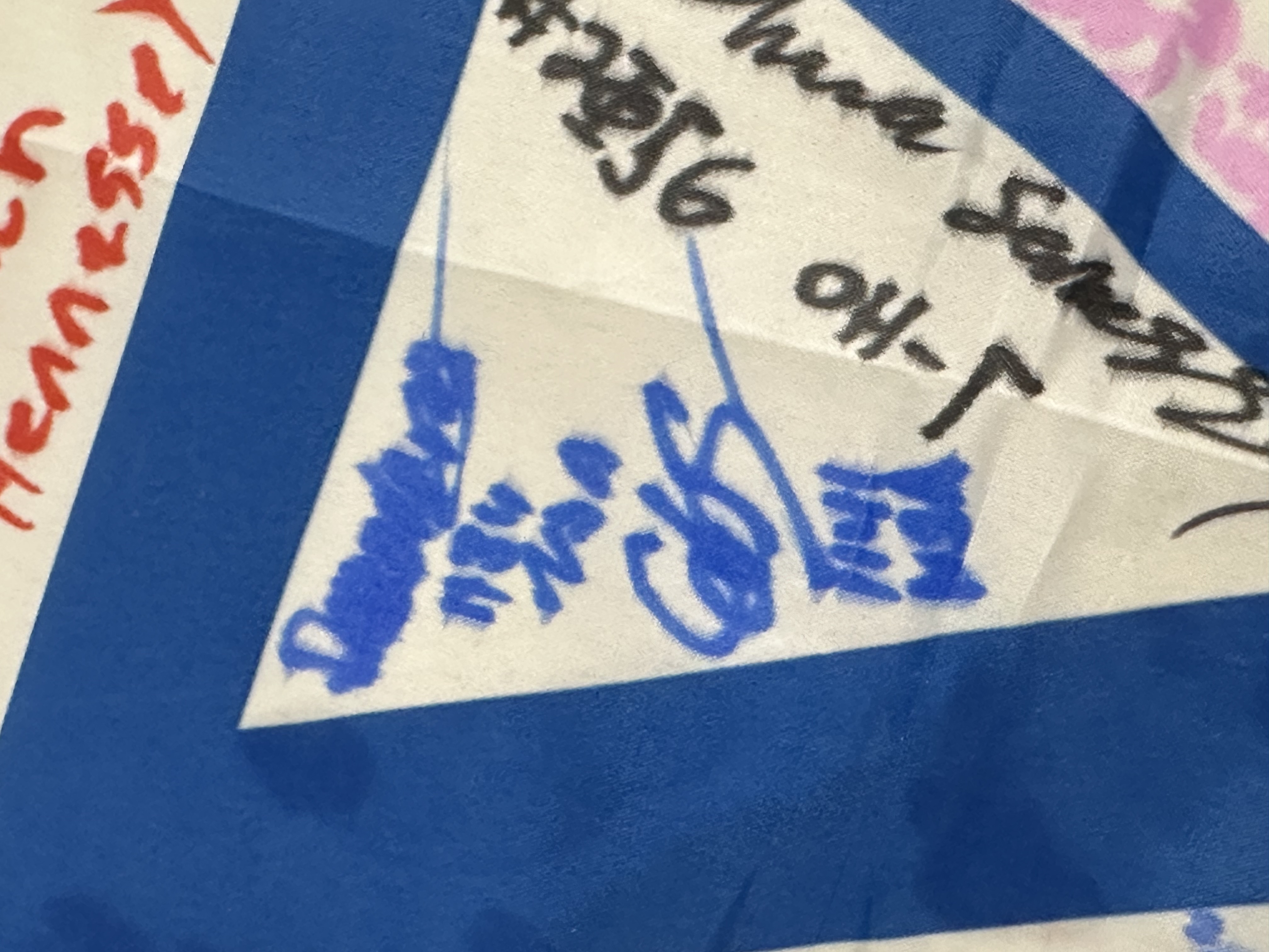 My signature on the flag