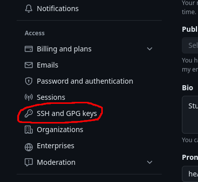 GitHub's settings